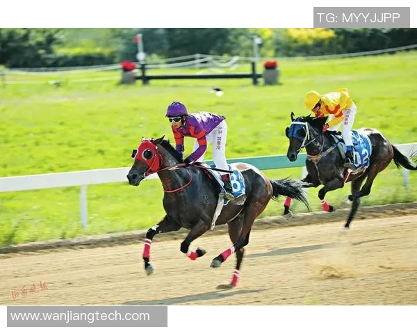 莱奥的传奇之路：从草根到巅峰的奋斗与荣耀